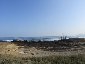 IMG_4853 (Medium)